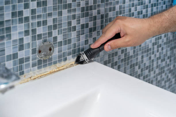Best Office Mold Removal Services  in Bear Creek Ranch, TX