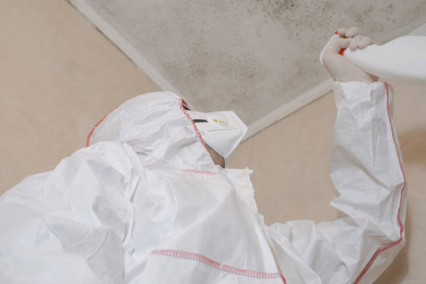 Water Damage Restoration in Bear Creek Ranch, TX