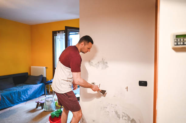 Best Commercial Mold Removal  in Bear Creek Ranch, TX