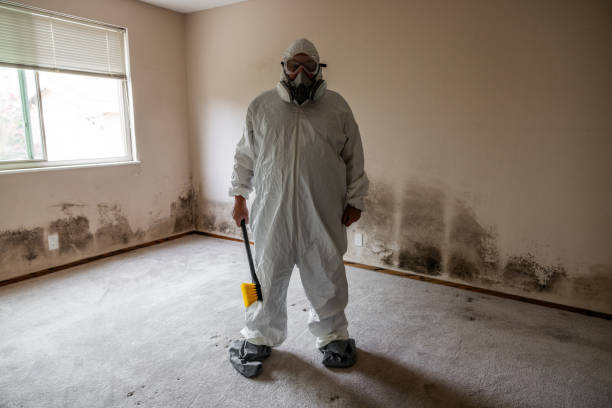 Best Mold Testing  in Bear Creek Ranch, TX